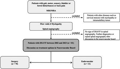Diagnostic, clinical management, and outcomes in patients with spinal dural arteriovenous fistula